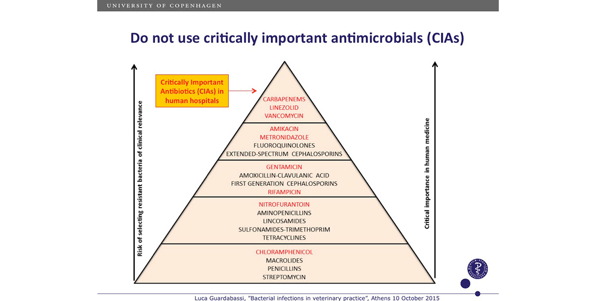 Rational-antimicrobial-1200-slidek18