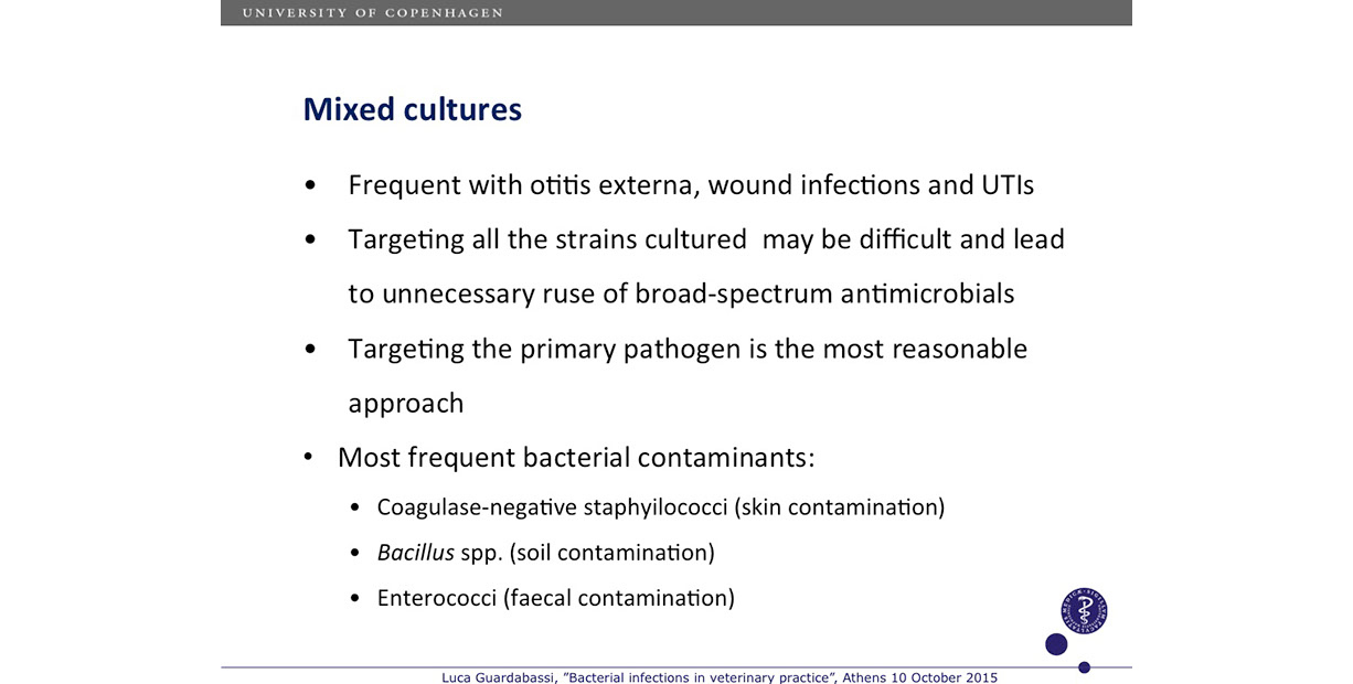 Rational-antimicrobial-1200-slidek24