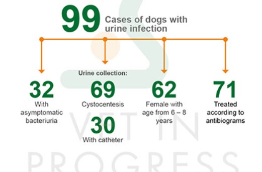 positive urine cultures1